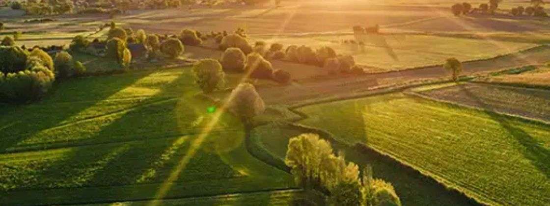 Villa Plots in Navi Mumbai